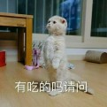 人间识物集的头像