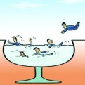 日常百晓观察的头像